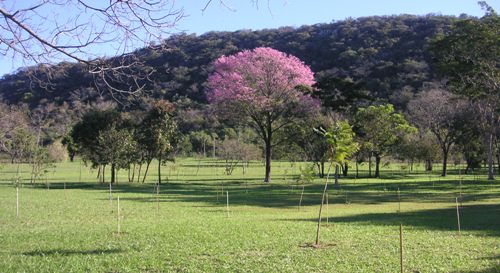 El Parque